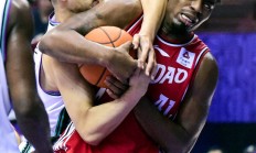 九游体育官网入口-哈德森领衔广东队向联赛冠军发起挑战