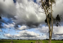 九游体育在线登录-阿尔德特主场逆袭记：逆风翻盘成就传奇