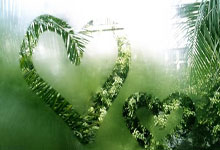 九游体育亚洲官网-开拓者队团结互助，全队士气高涨横扫对手，开拓者团队用什么口号好