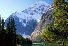 九游体育官方登录入口-柏林赫塔主场大胜，球队士气高涨，迎来新的辉煌篇章