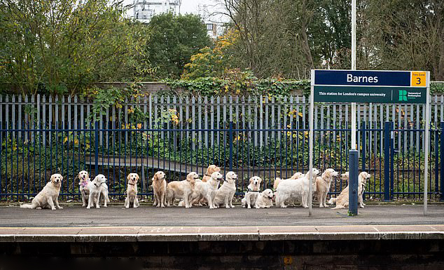 米尔沃尔主教练出席慈善晚宴，筹款支持当地慈善机构的简单介绍
