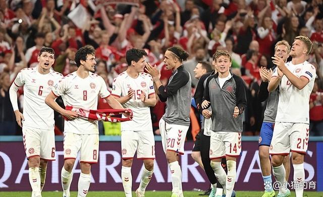 瑞士队闪耀表现，逆转击败对手的简单介绍