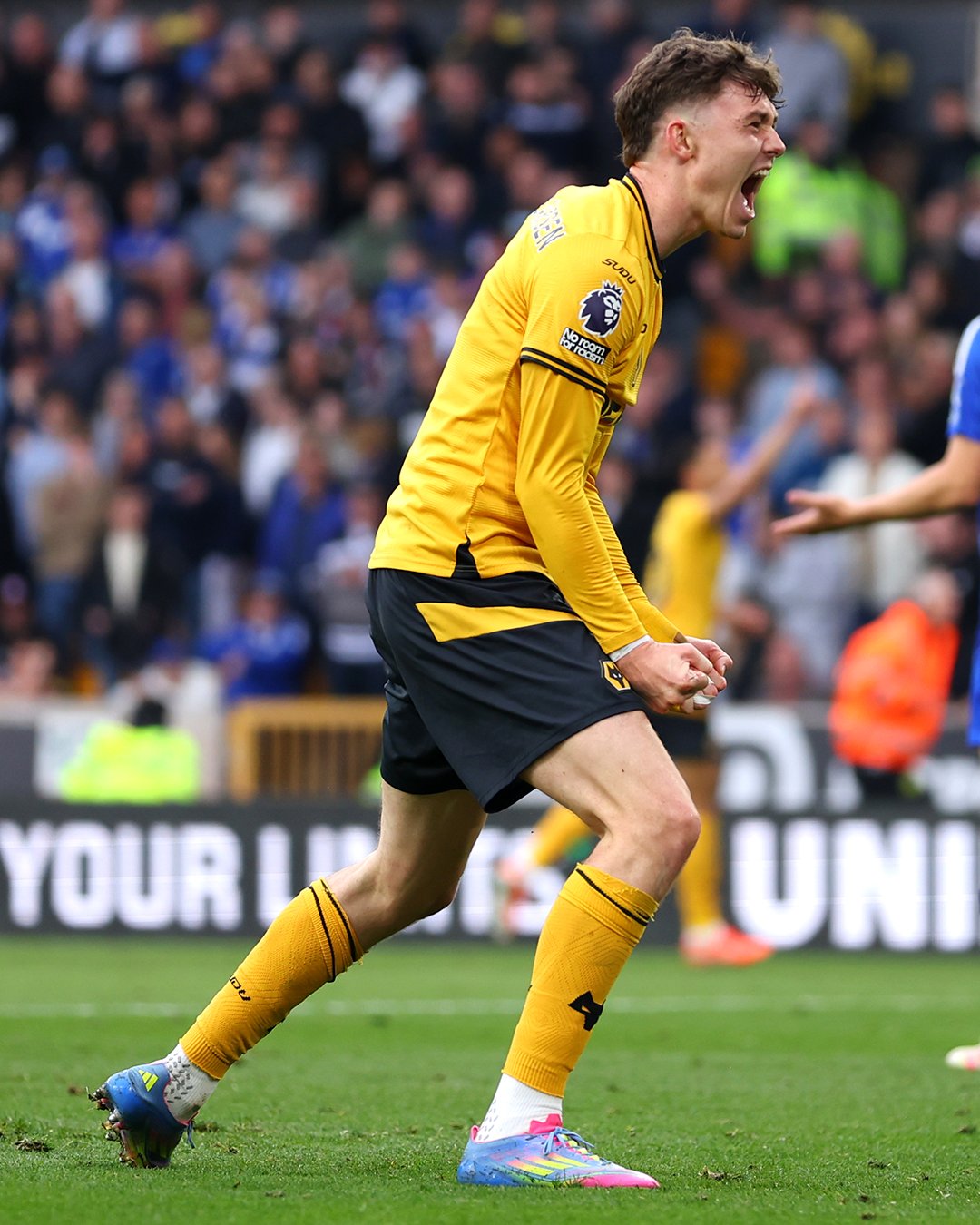 狼队在比赛中击败对手,实力备受肯定 狼队在比赛中击败对手,实力备受肯定